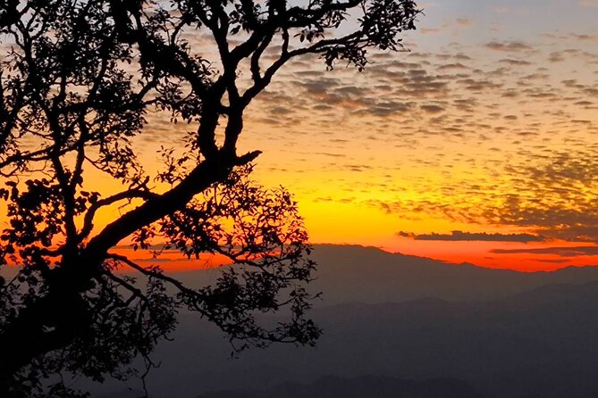 Chiang Mai Sunset Point, Wat Pha Lat, Wat Doi Suthep, Wat Umong - Key points to know before booking
