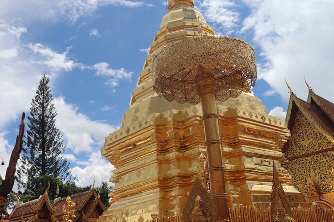 Chiang Mai Sunset Point, Wat Pha Lat, Wat Doi Suthep, Wat Umong - Wat Umong and its tunnel setting