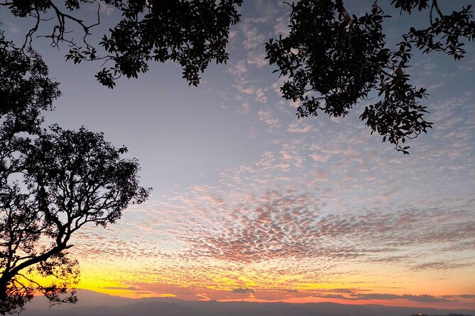 Chiang Mai Sunset Point, Wat Pha Lat, Wat Doi Suthep, Wat Umong - Is $66 per person good value?