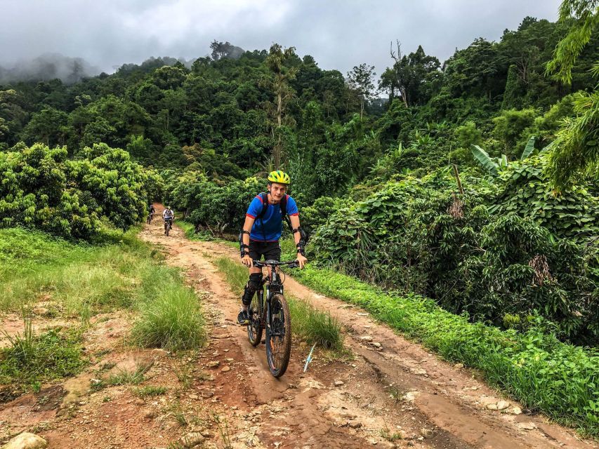 Chiang Mai: Suthep National Park Hiking & DH Mountain Biking - The Monthatan Waterfall trail starts hard