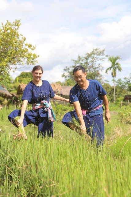 Chiang Mai: Thai Buffalo and Rice Planting Experience - A working farm, not a staged photo stop