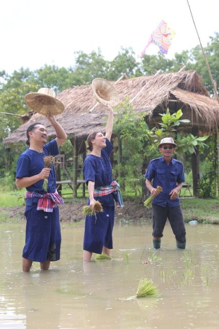 Chiang Mai: Thai Buffalo and Rice Planting Experience - How the timing works