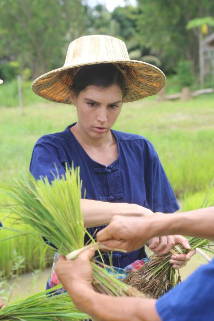 Chiang Mai: Thai Buffalo and Rice Planting Experience - Who will enjoy this farm visit most