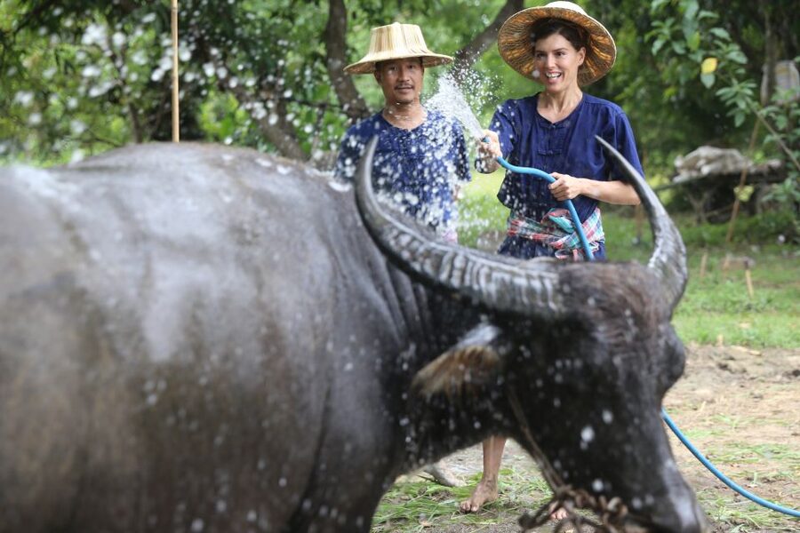 Chiang Mai: Thai Buffalo and Rice Planting Experience - Useful things to bring