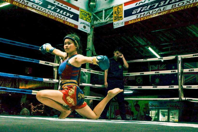 Chiang Mai: Thaphae Boxing Stadium Muay Thai - Booking, cancellation, and practical planning