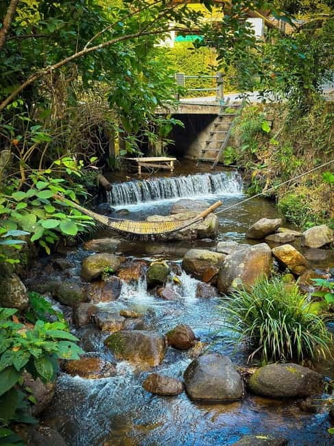 Chiang Mai: The Giant Café & Mae Kampong Village Day Trip - What the driver adds to the day
