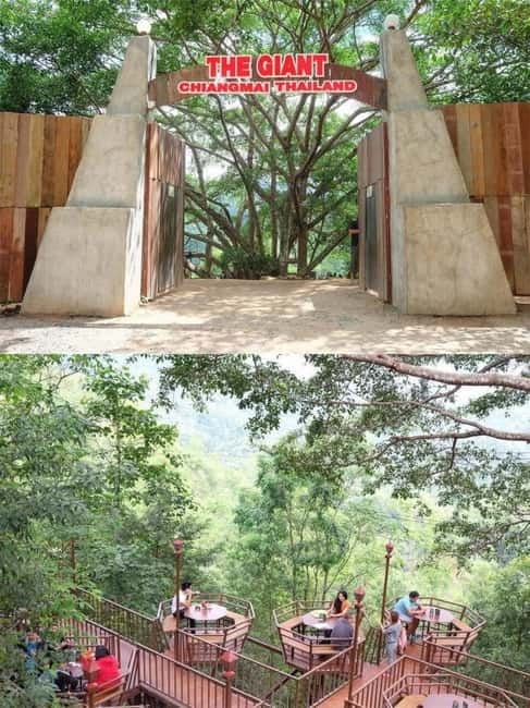 Chiang Mai: The Giant Café & Mae Kampong Village Day Trip - Should you book The Giant Café and Mae Kampong trip?