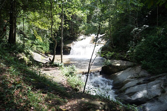 Chiang Mai Trekking Tour :Full day (no rafting) - Meeting the elephants at Elephant Pride Sanctuary