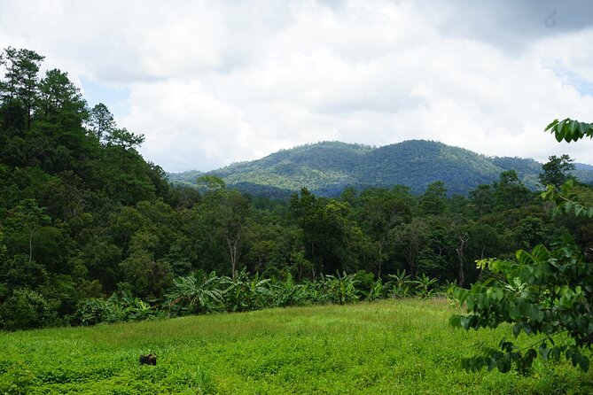 Chiang Mai Trekking Tour :Full day (no rafting) - Is $64.53 good value?