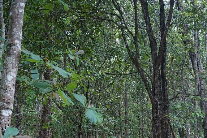 Chiang Mai Trekking Tour :Full day (no rafting) - What to bring and how to prepare