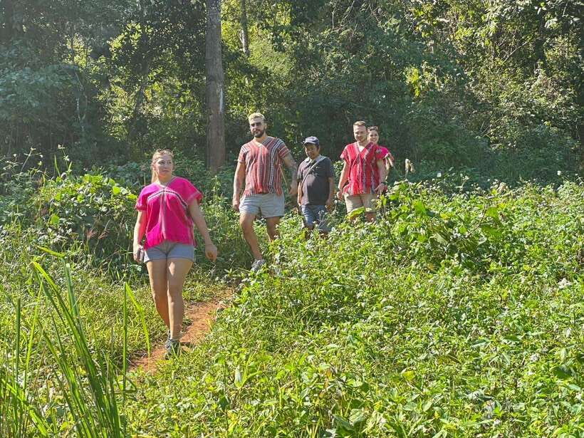 Chiang Mai Untouched Elephant: Nature Walk & Waterfall Trek - Who should book this experience