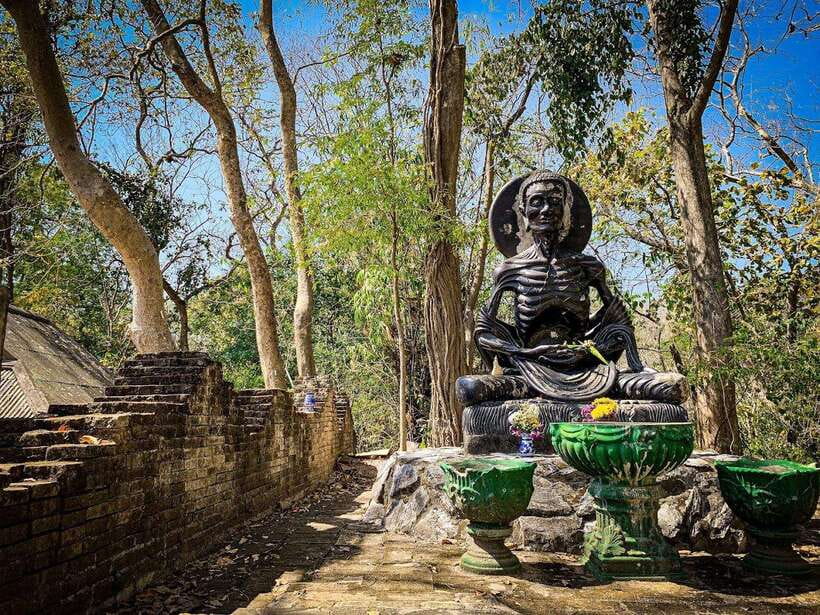 Chiang Mai:Wat Phra That Doi Suthep & Wat Umong Evening Tour - Who should book this evening temple tour?