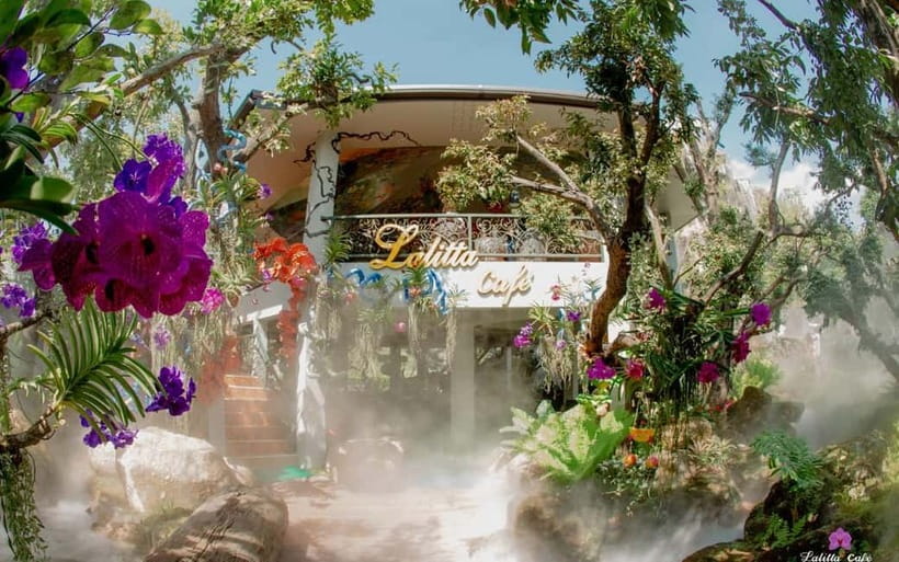 Chiang Mai: White and Blue Temples and Lalita Cafe - The three-hour ride back to Chiang Mai