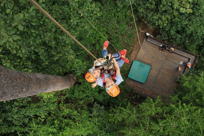 Chiang Mai Zip Line Experience - Key points to know before you book