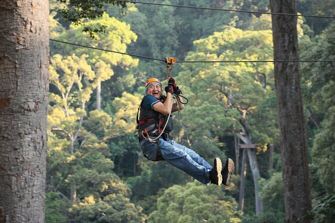 Chiang Mai Zip Line Experience - What the family-friendly setup really means