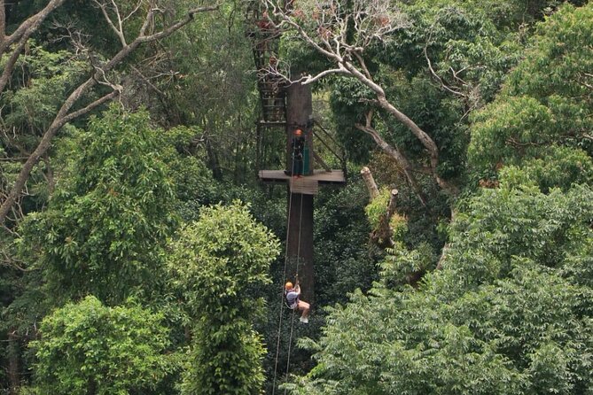Chiang Mai Zip Line Experience - A short break with fruit and drinks