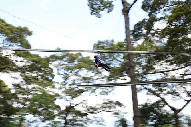 Chiang Mai Zip Line Experience - Timing, comfort, and the bumpy transfer