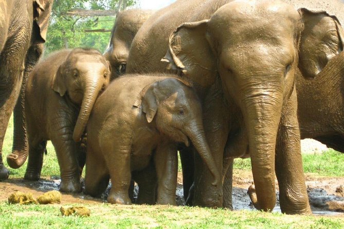 Chiang Mai Zipline White Water Rafting and Elephant Sanctuary - The road time between activities