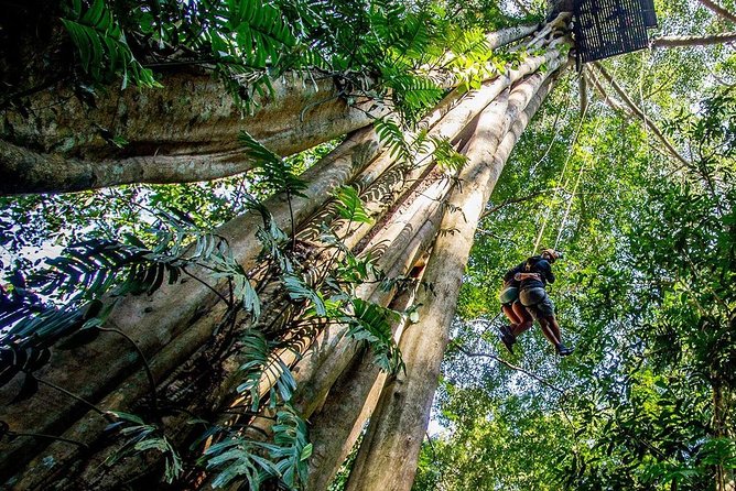 Chiang Mai Zipline White Water Rafting and Elephant Sanctuary - Is $154.88 a fair price?