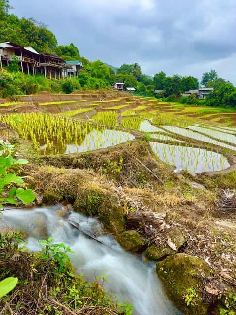 Chiangmai : Doi Inthanon unseen spot , Rice terrace & temple - Wat Pgageyo Ram, a Quiet Temple in the Hills