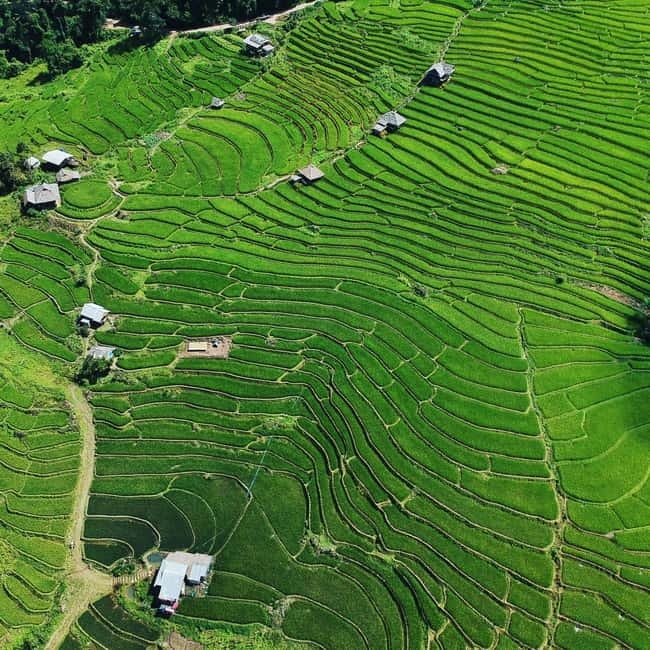 Chiangmai : Doi Inthanon unseen spot , Rice terrace & temple - The 8:00 AM Pickup and Mountain Road