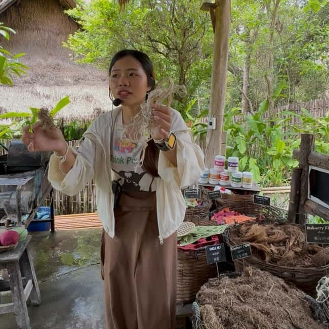 ChiangMai Elephant POOPOOPAPER Park Optional StickyWaterfall - Adding Bua Tong Sticky Waterfall