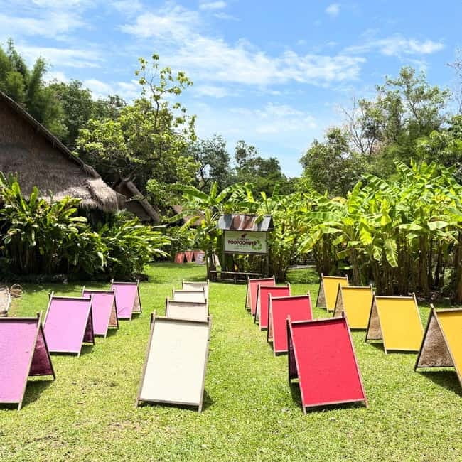 ChiangMai Elephant POOPOOPAPER Park Optional StickyWaterfall - Practical costs and booking flexibility