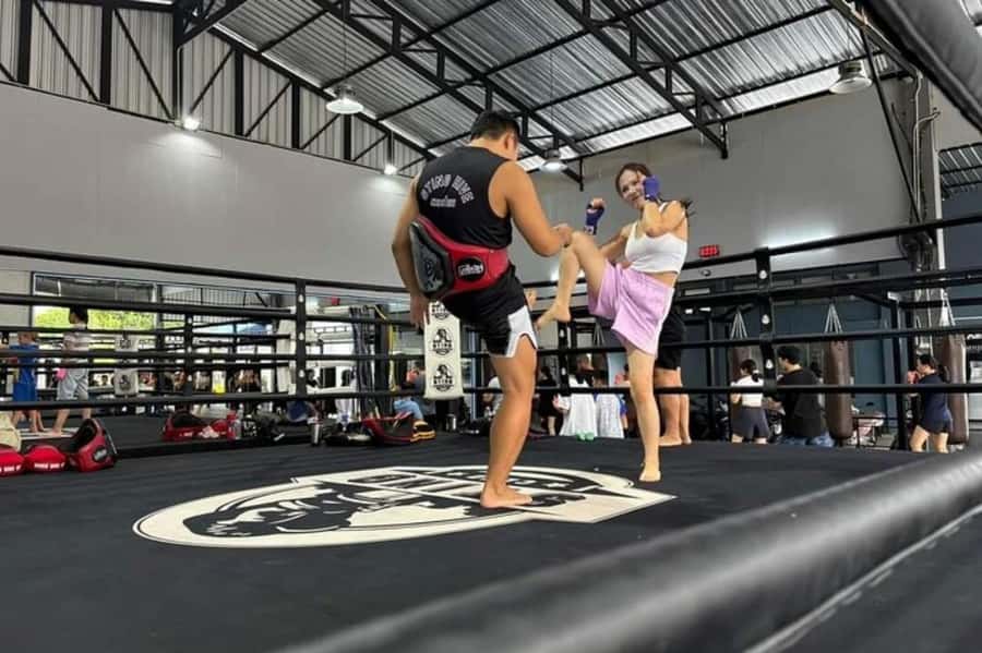 Chiangmai : Muay Thai Training academy - Pad work, partner drills, and conditioning