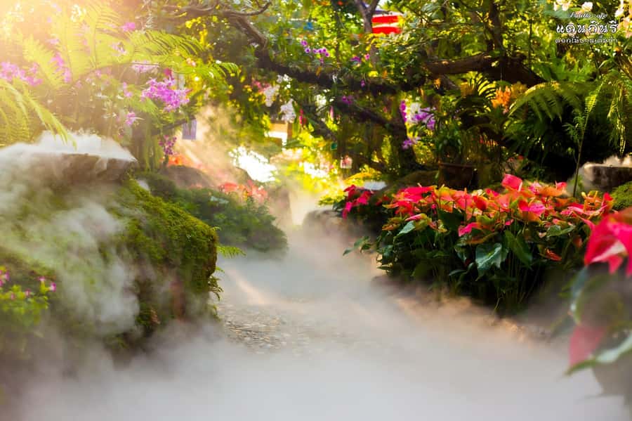 Chiangmai to Chiangrai: 3 Temples, Hot Springs& Lalitta Cafe - Who should book this Chiang Rai day trip?