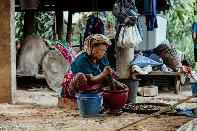 City Escape: Doi Inthanon & Karen Village Private Day Trip - Coffee, a mountain meal, and Ban Mae Klang Luang