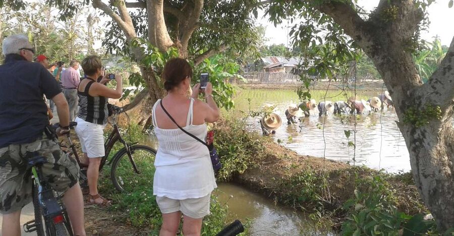 Colors of Chiang Mai Guided Bicycle Tour - Why this bicycle tour reaches beyond central Chiang Mai