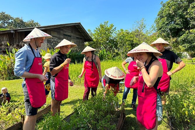 Cooking Class with Organic Farm in Chiang Mai - A 30-minute ride to a 1.6-acre organic farm