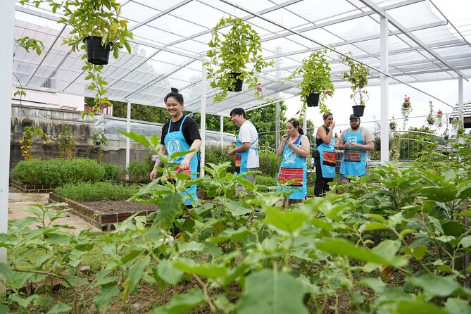 Cooking Class with Organic Farm in Chiang Mai at Mama Noi - Your own station makes the class practical