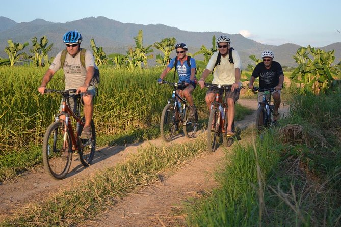 Cycling tour and Buatong waterfall - Through farms, rice fields, and village roads