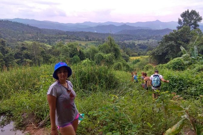 Doi Inthanon Day Trip:Twin Pagodas,Soft Hiking,Coffee Plantation - Why this Doi Inthanon day trip works