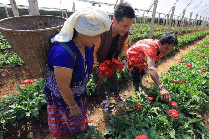 Doi Inthanon Discovery Tour: Waterfalls, Villages & Highest Peak - The Twin Royal Pagodas and mountain views