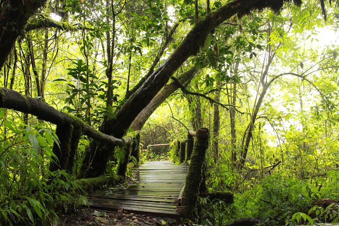 Doi Inthanon National park and 2 hours hiking with private tour - Lunch keeps the long day practical
