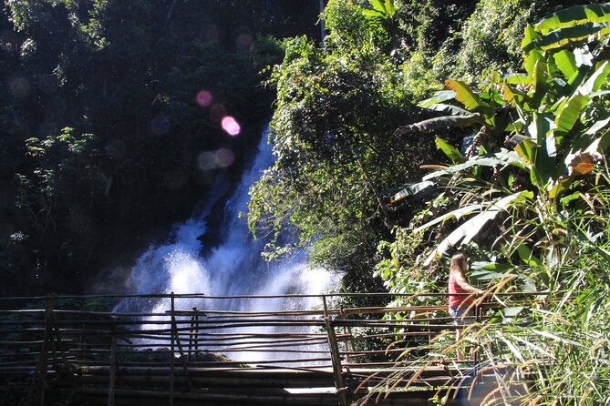 Doi Inthanon National park and 2 hours hiking with private tour - Coffee farming adds a welcome local detail