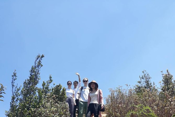 Doi Inthanon National Park Day Trip - Practical advice for a smoother day