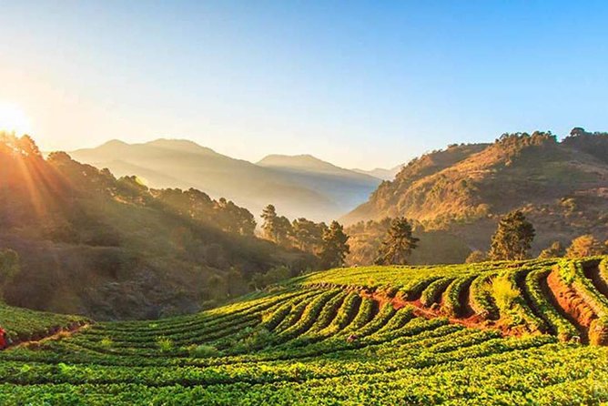 Doi Inthanon National Park Full Day Tour from Chiang Mai - Reaching the Roof of Thailand