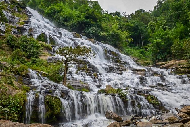 Doi Inthanon National Park Full Day Tour from Chiang Mai - What the small group and included transport are worth