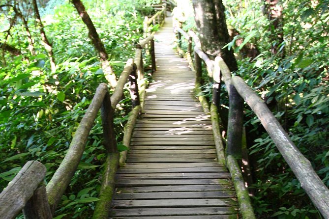 Doi Inthanon National Park including Lunch from Chiang Mai - The twin royal stupas and their formal gardens