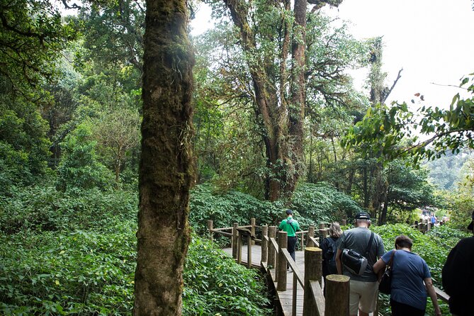 Doi Inthanon National Park Private Tour – Full Day - Why Doi Inthanon makes a strong day trip from Chiang Mai