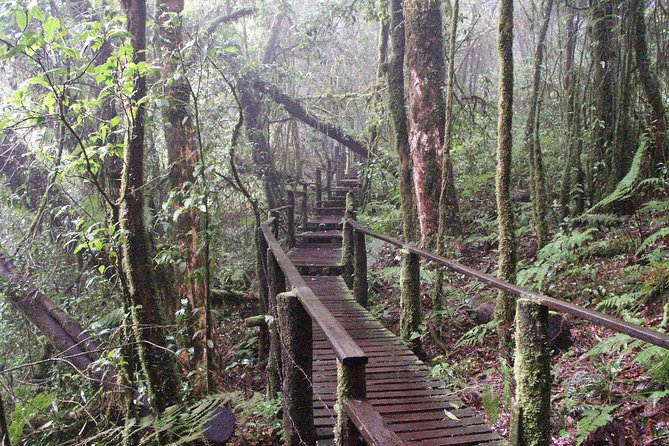 Doi Inthanon National Park - Thailand's Highest Peak - Wachirathan Falls delivers the day’s easiest wow