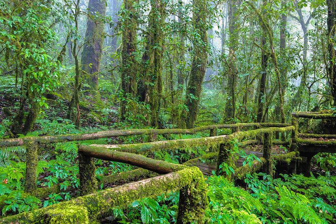 Doi Inthanon National Park, Waterfall & Royal Project Day Tour From Chiang Mai - Sirithan Waterfall and the quieter forest setting