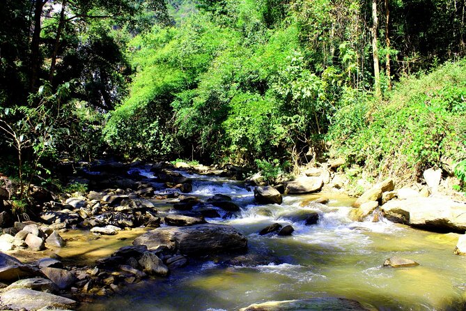 Doi Inthanon National Park, Waterfall & Royal Project Day Tour From Chiang Mai - Lunch, timing, and the real amount of walking