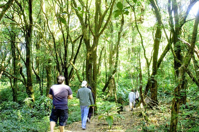 Doi Inthanon National Park, Waterfall & Royal Project Day Tour From Chiang Mai - The ride from Chiang Mai and what the day feels like