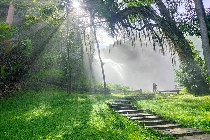 Doi Inthanon Private Trek & Lunch Tour from Chiang Mai - Why this Doi Inthanon day trip works