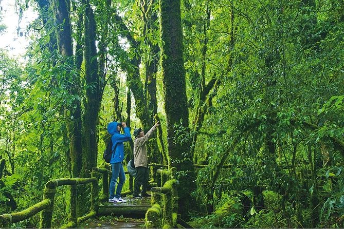 Doi Inthanon Waterfall and Royal Project Chiang Mai - Ang Ka Trail through high-altitude rainforest