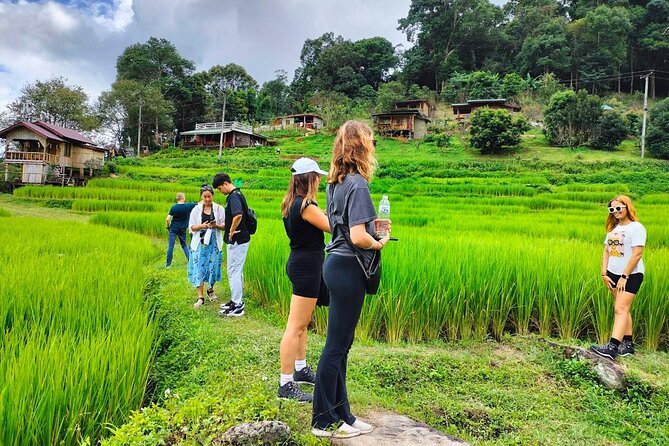 Doi Inthanon Waterfall and Royal Project Chiang Mai - Thailand’s highest point, with modest expectations